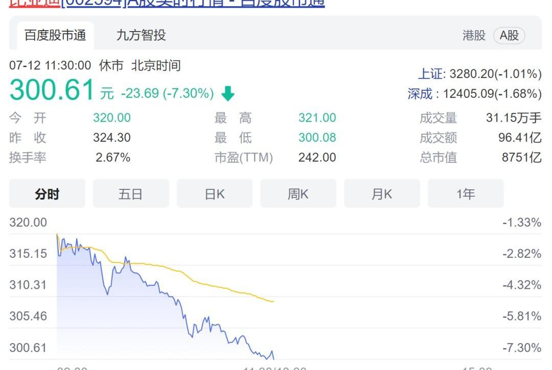比亚迪,摩根