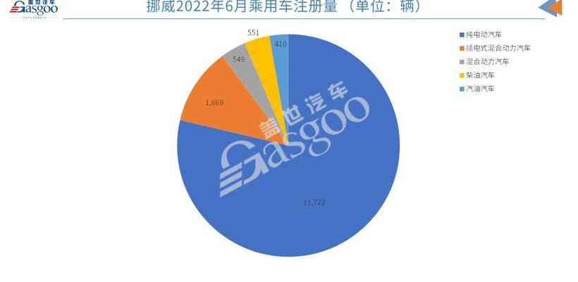 宝马,大众,比亚迪,斯柯达,特斯拉