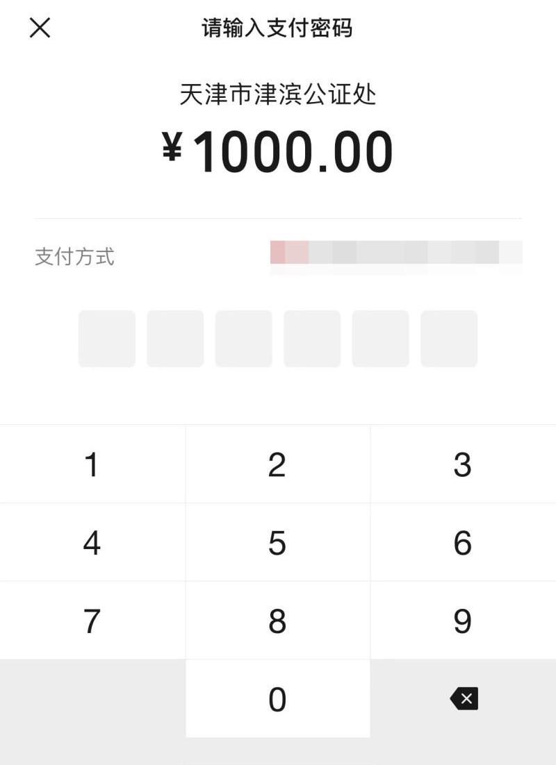 恒驰,恒驰5,北京,鲸,比亚迪