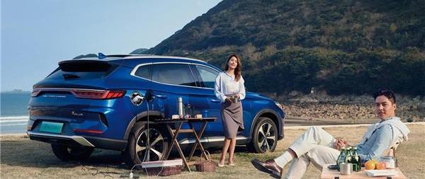 比亚迪,哈弗,哈弗H6,特斯拉,Model Y