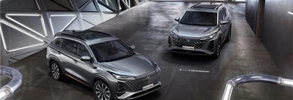 比亚迪,哈弗,哈弗H6,特斯拉,Model Y