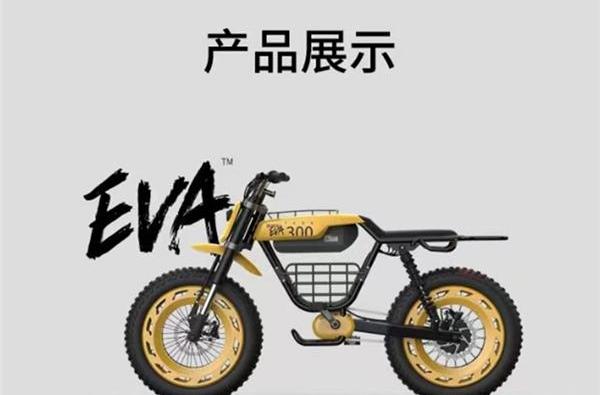 坦克,坦克300,远程