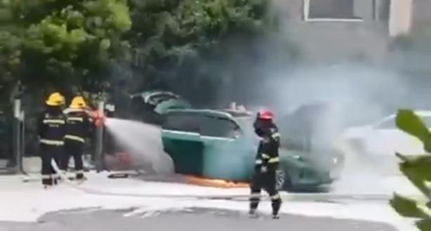岚图汽车,东风,鲸