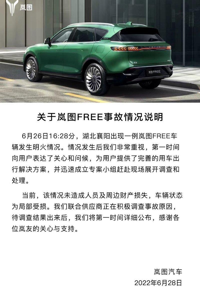 岚图汽车,东风,鲸