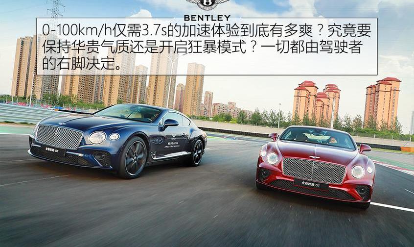 宾利,欧陆,添越,世纪