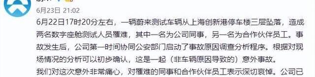 蔚来,小鹏