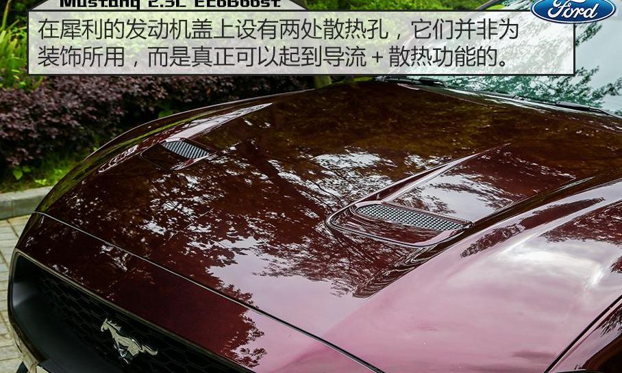 Mustang,福特,大众,林肯