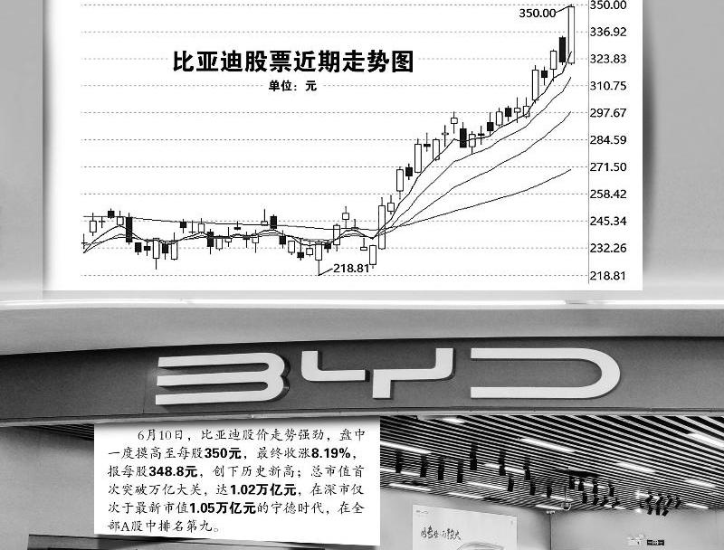 比亚迪,特斯拉,比亚迪e6,海豚,大众