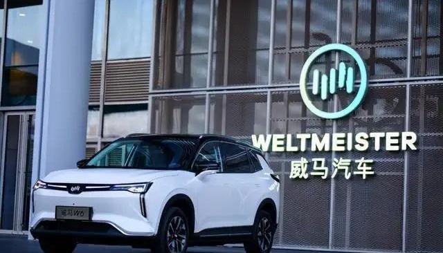 威马汽车,小鹏,威马EX5,蔚来