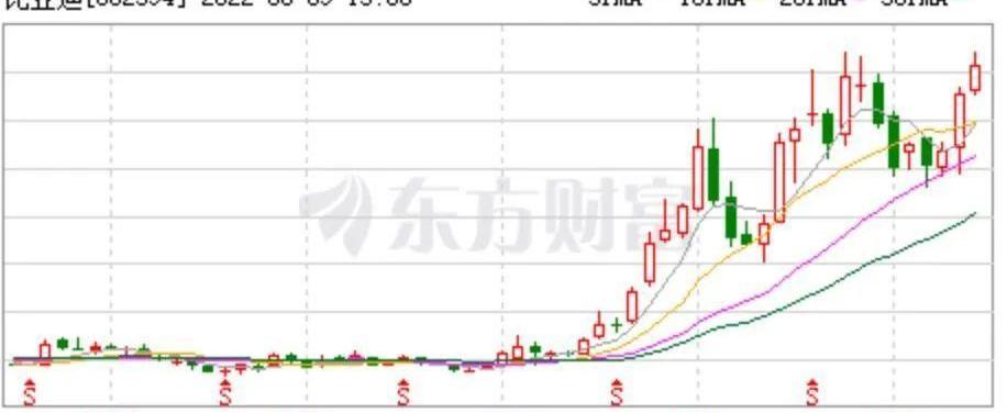 比亚迪,特斯拉,大众