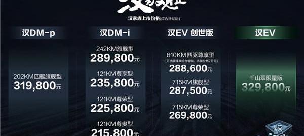 汉,比亚迪