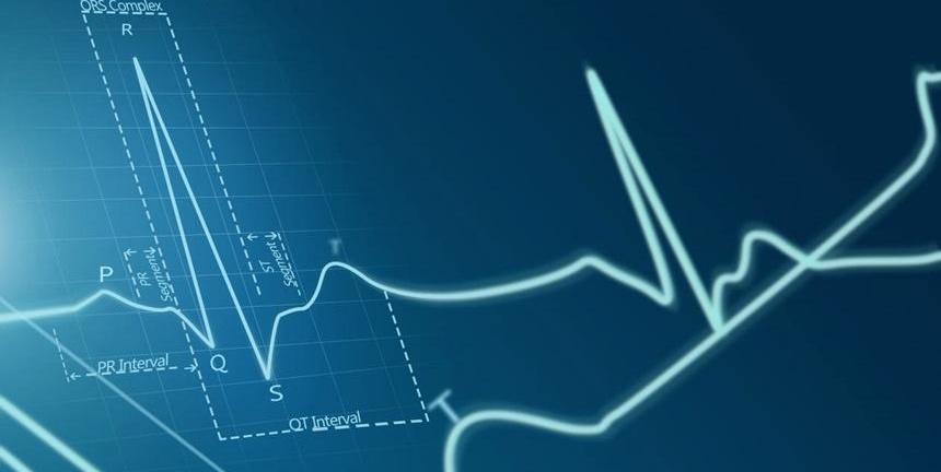 比亚迪,特斯拉,海豹,理想汽车,腾势