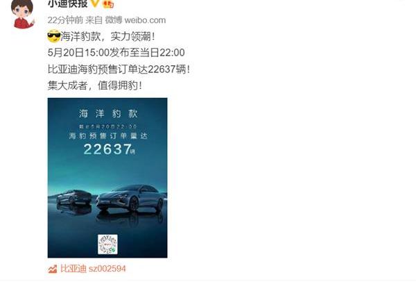 海豹,比亚迪