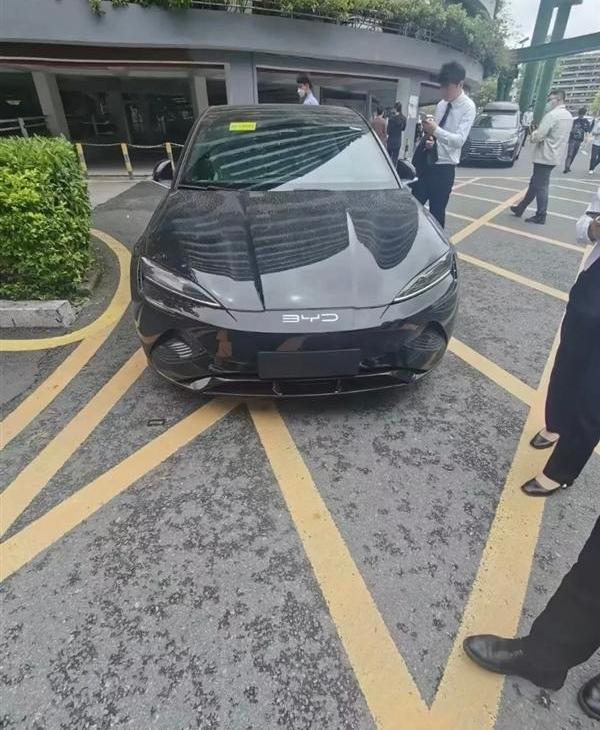 海豹,比亚迪