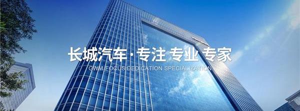 长安,奇瑞,比亚迪,吉利汽车,长城