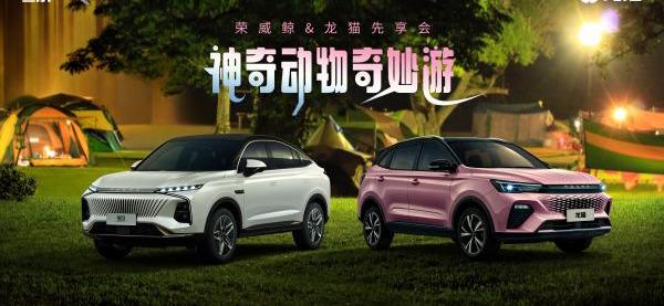 荣威,鲸,龙猫,威龙,天籁