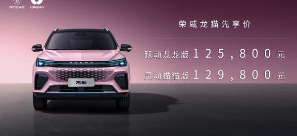 荣威,鲸,龙猫,威龙,天籁