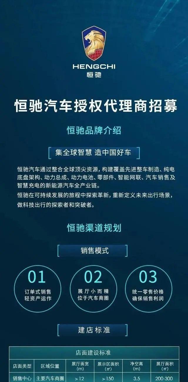 恒驰,恒驰5,比亚迪,特斯拉,蔚来