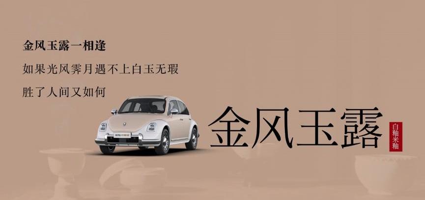 发现,欧拉,欧拉芭蕾猫,现代