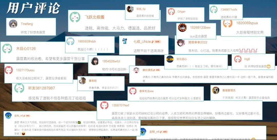 途锐,大众,奥迪,宝马,福特