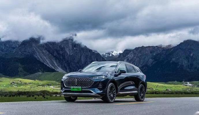 魏牌,长城,北京,优越,摩卡