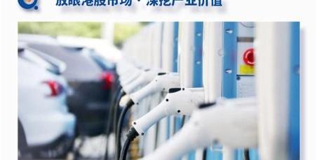小鹏,比亚迪,合创,蔚来,极氪