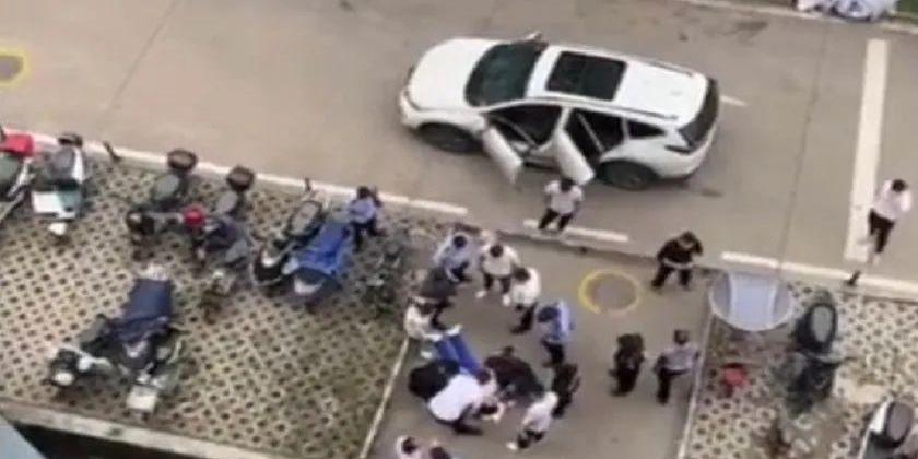 比亚迪,发现