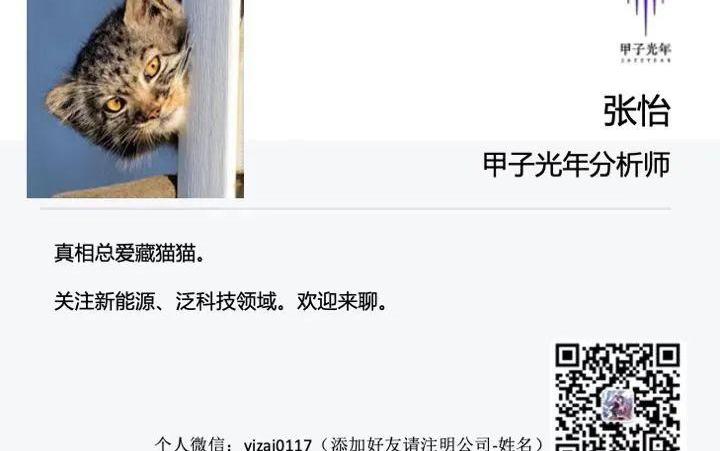 蔚来,小鹏,宝马,奥迪,特斯拉
