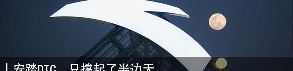 世纪,大众,福克斯,特斯拉