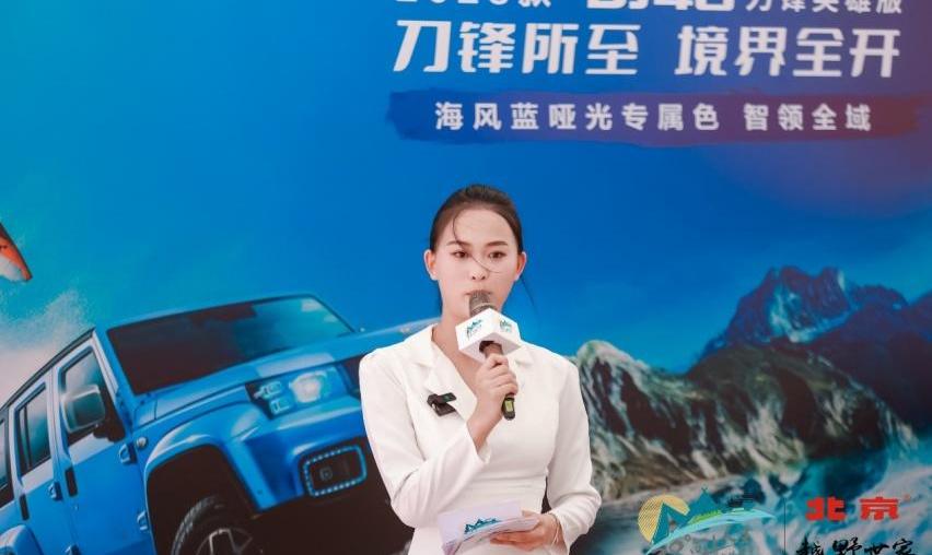 北京,汉,炮,仰望,远程