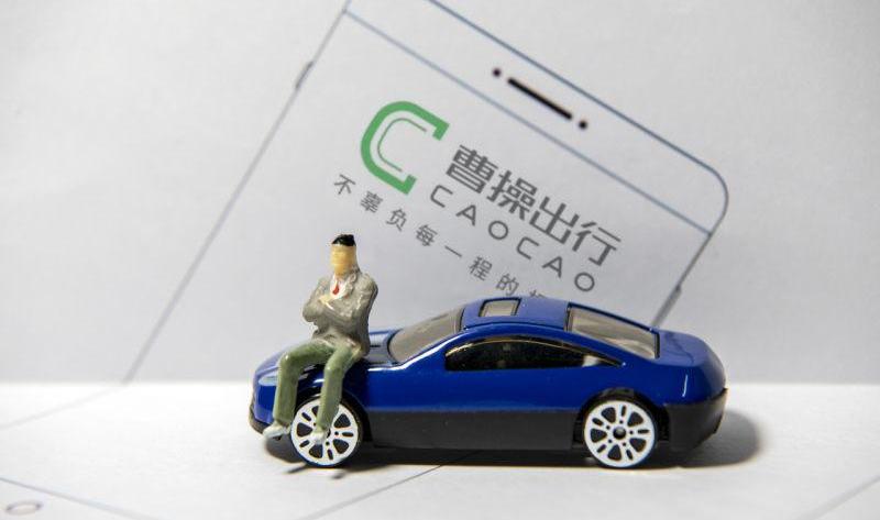 鲸,合创