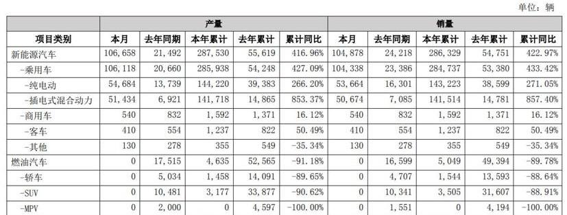 比亚迪,北京,海豚