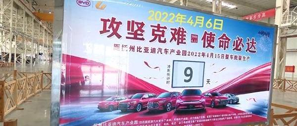 比亚迪,海豚