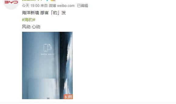 海豹,比亚迪
