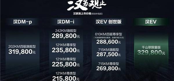 汉,比亚迪