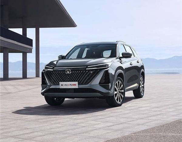 比亚迪,哈弗,哈弗H6,Model Y,长安