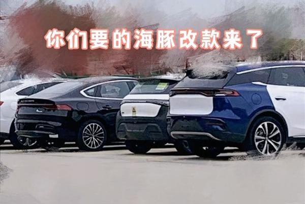 海豚,比亚迪