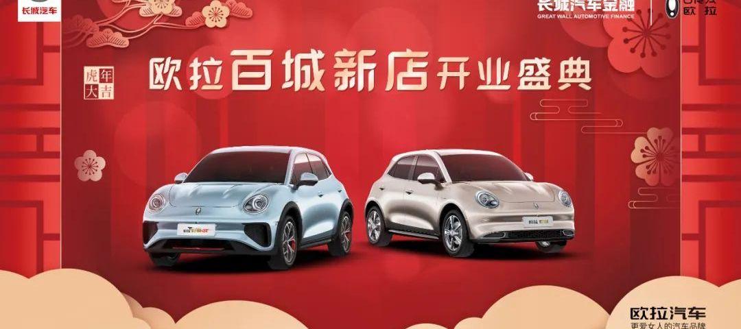 欧拉,长城,北京,特斯拉,发现