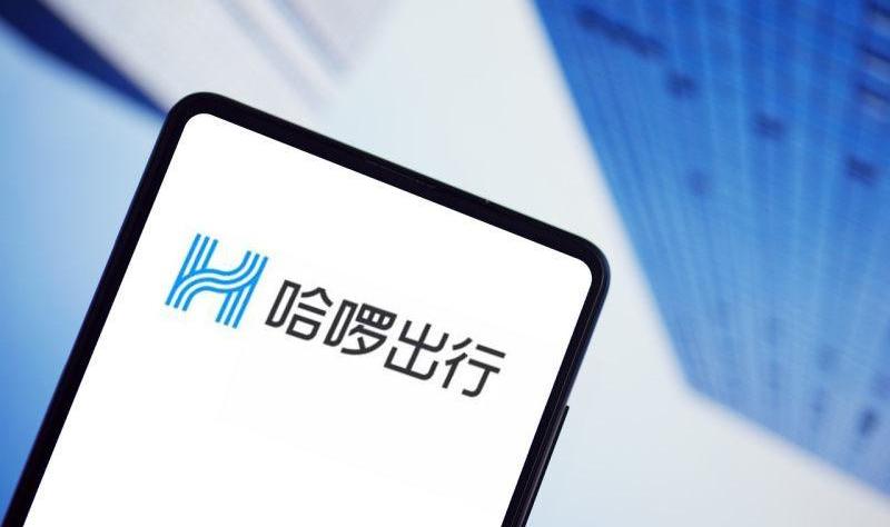 发现,鲸