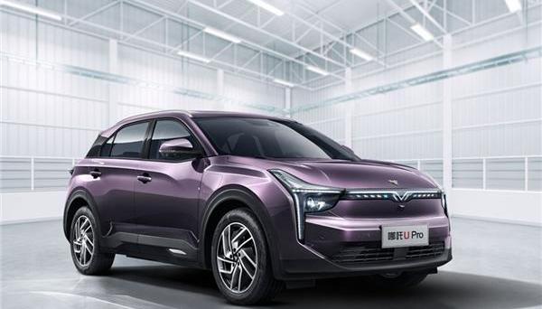 哪吒汽车,哪吒V,哪吒U,蔚来,小鹏