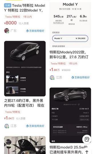 特斯拉,Model Y,Model 3,小鹏,比亚迪