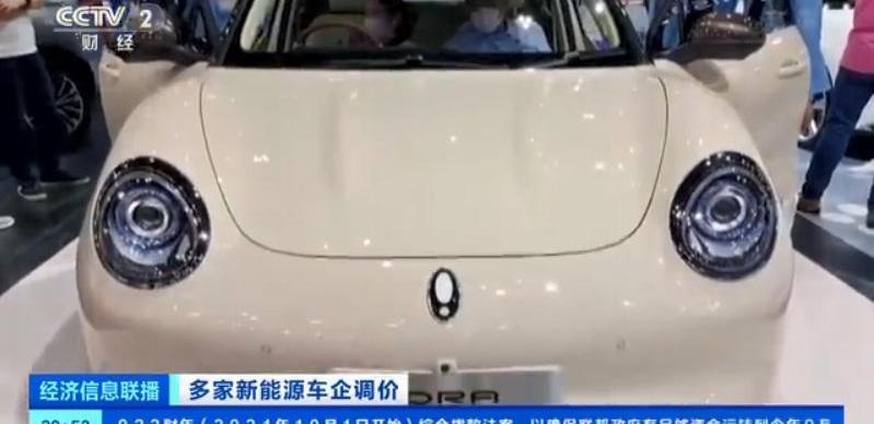 欧拉,MINI,蔚来,宏光MINIEV,埃安