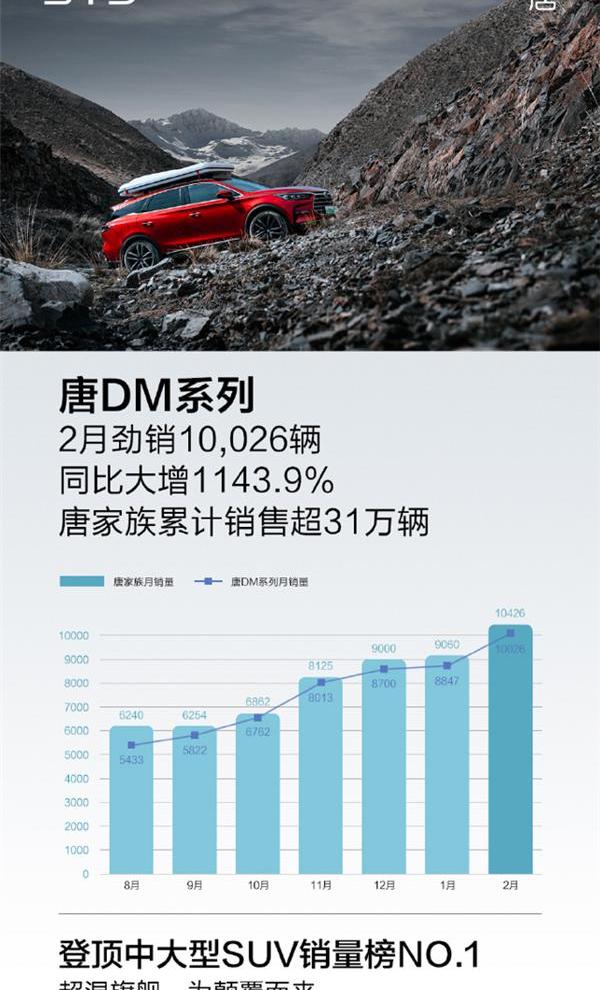 比亚迪