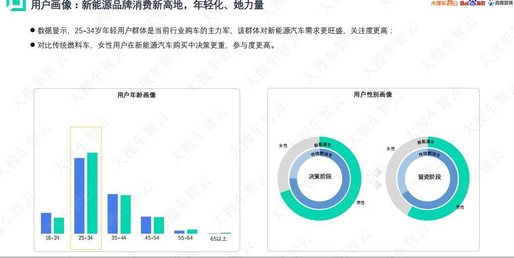 比亚迪,特斯拉