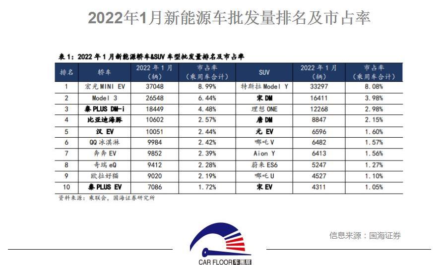 欧拉,比亚迪,奇瑞,元新能源,欧拉好猫