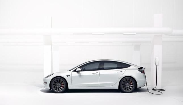 特斯拉,福特,长城,欧拉,Model 3