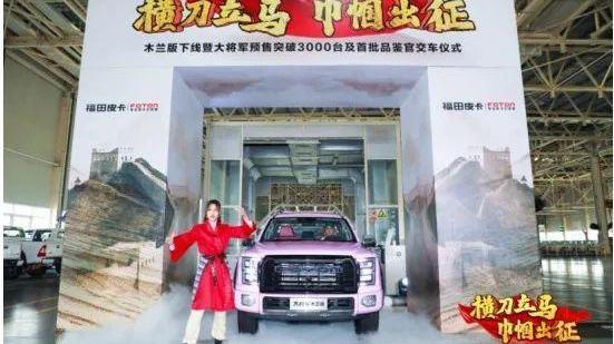 欧拉,奥迪,奔驰,大众,东风风行