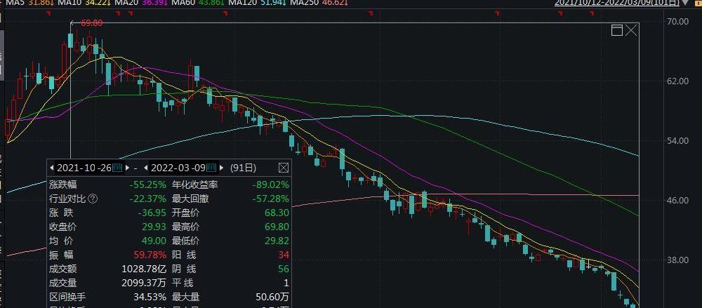 长城,比亚迪