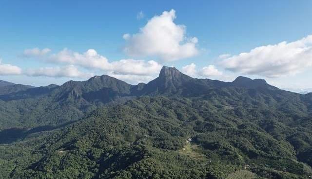 奔驰,理念,北京