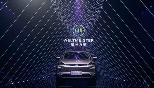 威马汽车,理想L9,小鹏,小鹏G9